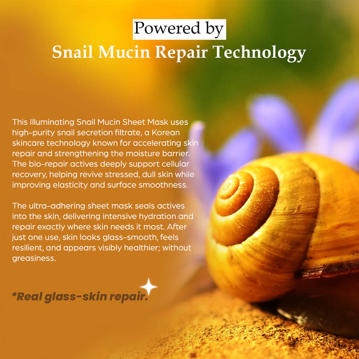 Illuminating Snail Mucin Sheet Mask (Pack of 6)